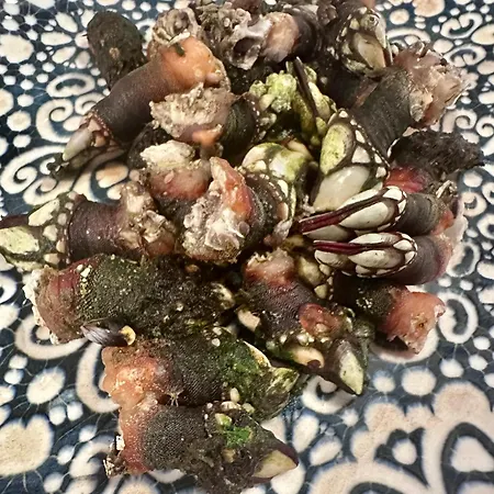 Casa Del Faro - Itsasargia Etxea Finisterre